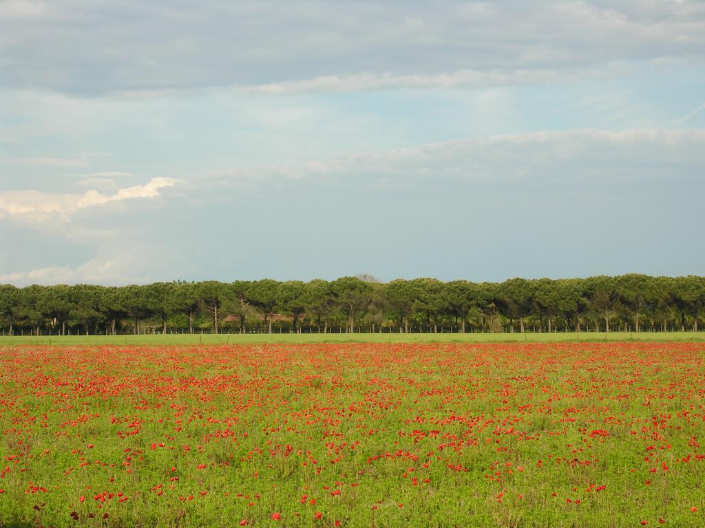 Appartamenti Mirella Bibione Bagian luar foto